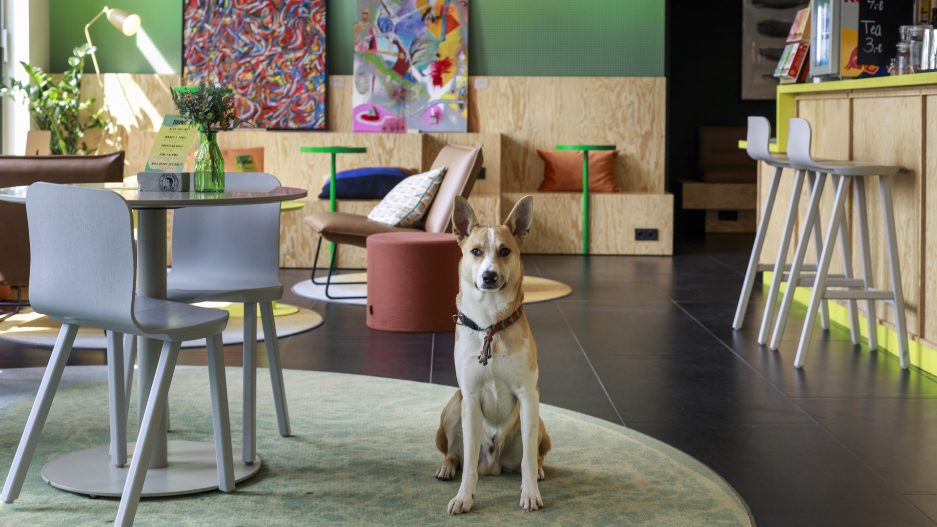 Die bunte Lobby des Lifestyle Hotels mit einem Hund im Vordergrund.