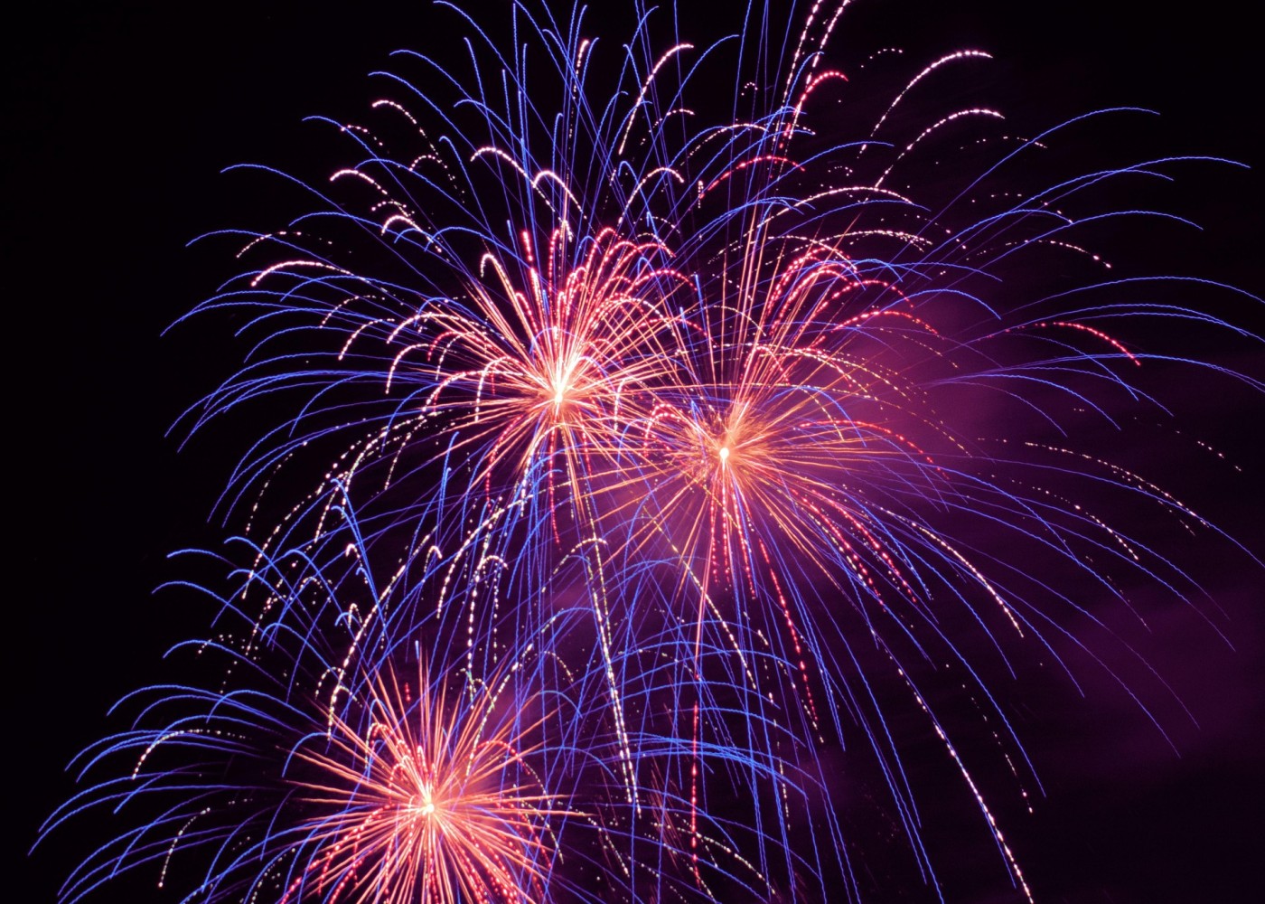 Ein pinkes Feuerwerk am Nachthimmel.